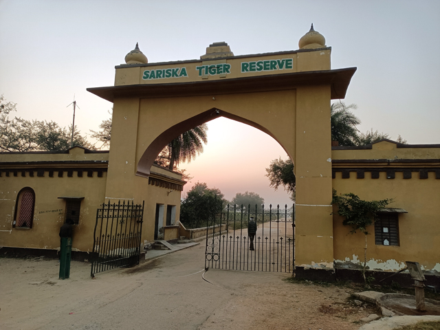 Sariska Tiger Sanctuary